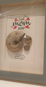 Mum Love Frame - featuring Iridescent Ammonite Fossils