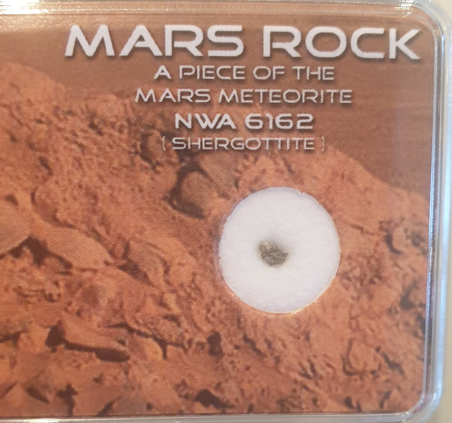 6-8 year-old book PLUS authentic 9mg Meteorite from Mars